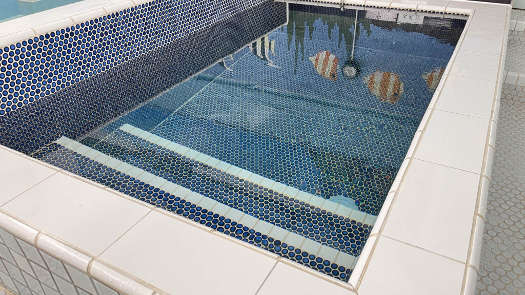 天神湯、画像、水風呂